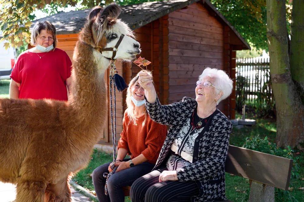 Különleges terápia (képekkel)