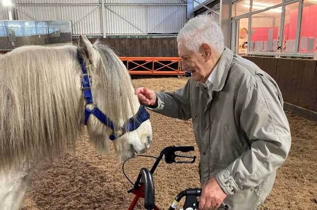 Terápiás lovak a demencia szolgálatában