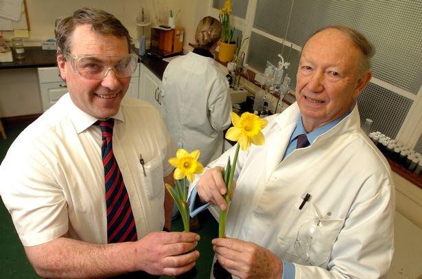 Ahol virágokkal küzdenek az Alzheimer ellen