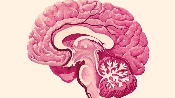 Alzheimer-kór vagy más demencia?