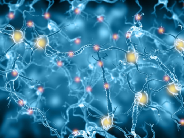 Áttörés az Alzheimer-kutatásban