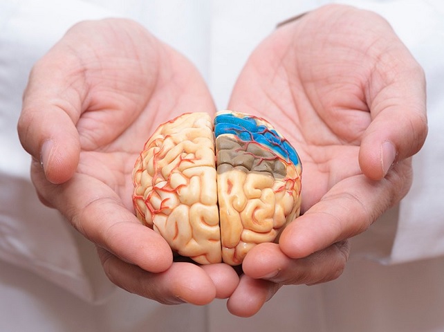 A 21. század nagy kihívása: az Alzheimer-kór