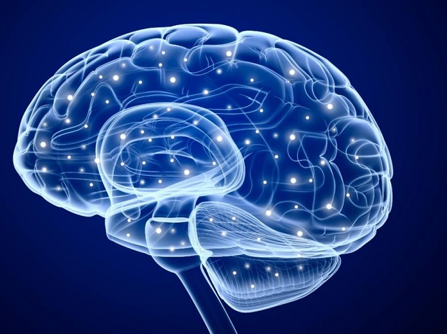 Agyimplantátummal javítottak emberi memóriát